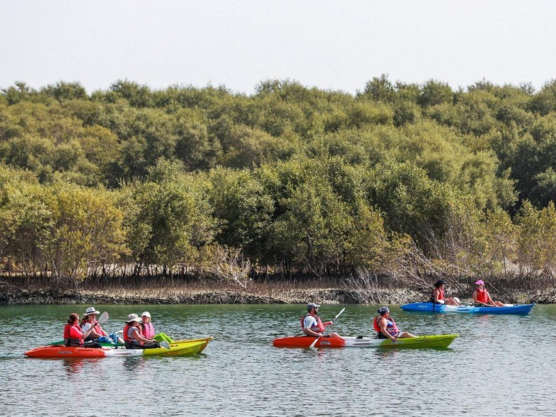 A group of people in kayaks on a lake  Description automatically generated