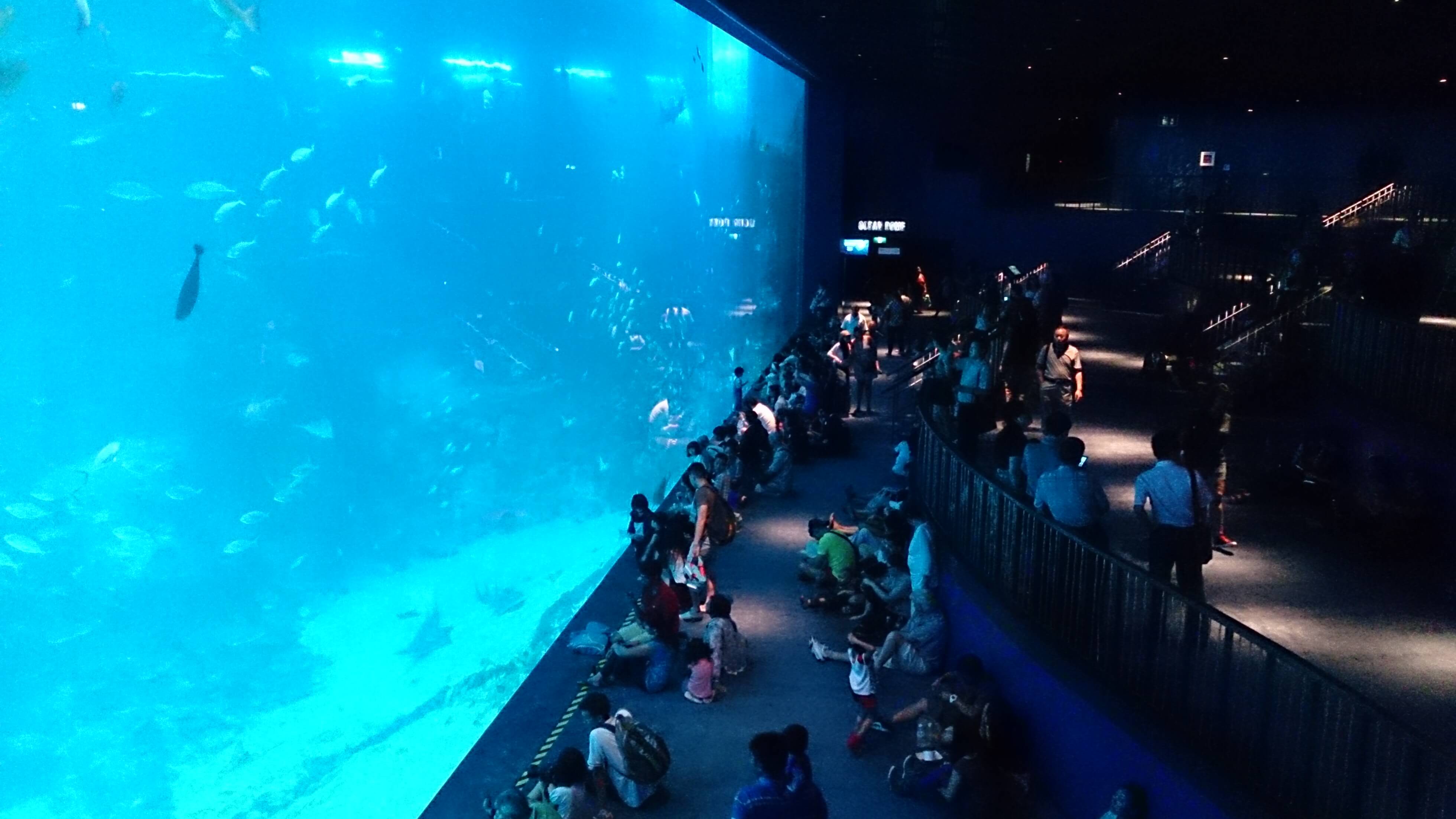 SEA Aquarium